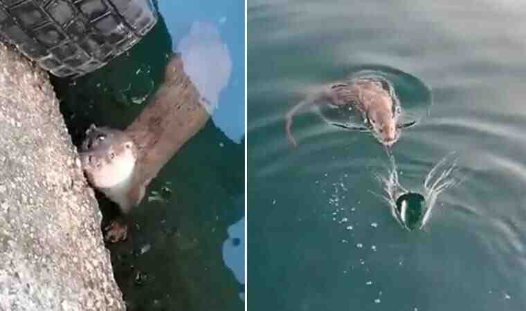 Fenerbahçe Beko, Bonzie Colson ile anlaşmaya vardı!