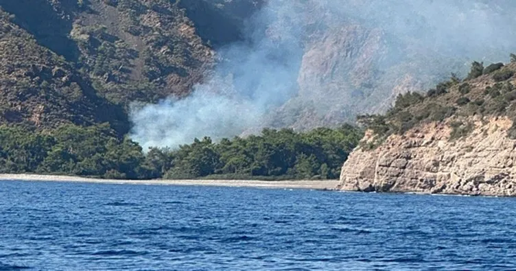 Datça’daki orman yangını şüphelisi tutuklandı