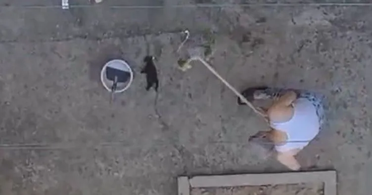 Manisa’da yavru kediye işkence anı kamerada: O cani yakalandı!