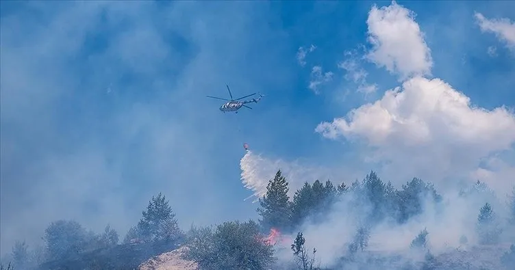 Son dakika: Ankara Bolu sınırındaki orman yangınıyla ilgili gözaltına alınan şüpheli tutuklandı