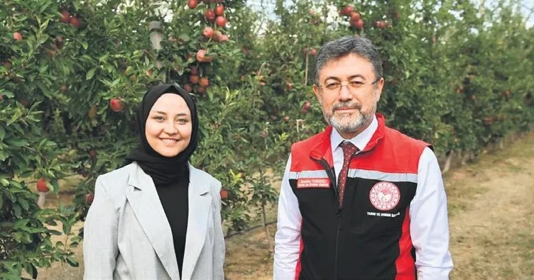 Elmada 4.5 milyon ton rekolte bekleniyor