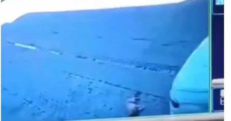 Gaziantep’te feci olay: Sokakta uyuyan köpeği arabayla ezdi!