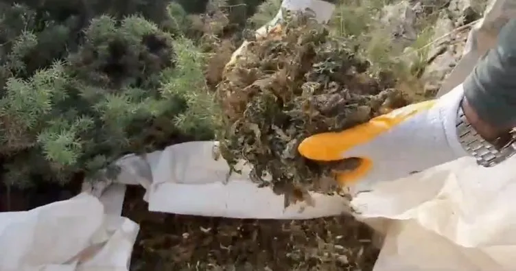 Lice’de, Narko-Terör operasyonu: 16 milyon kök uyuşturucu ele geçirildi