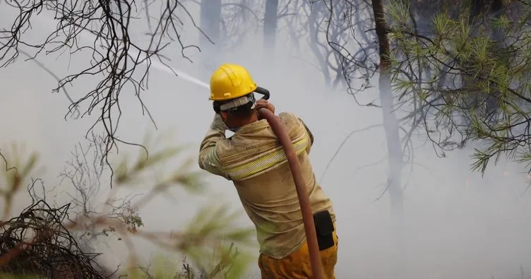 Muğla’daki yangının çıkış nedeni belli oldu! 200 hektar alan zarar görmüştü