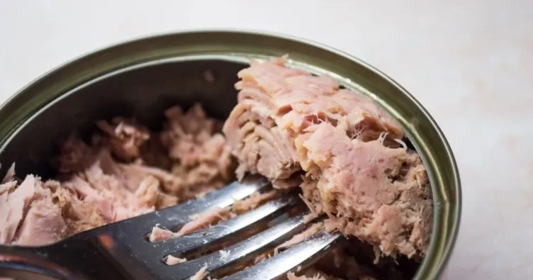 Ton Balığı İle Yoğurt Yenir Mi? Ton Balıklı Salataya Yoğurt Konur Mu, Zehirler Mi?