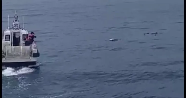 Trabzon, Pelitli açıklarında denizde bir ceset bulundu