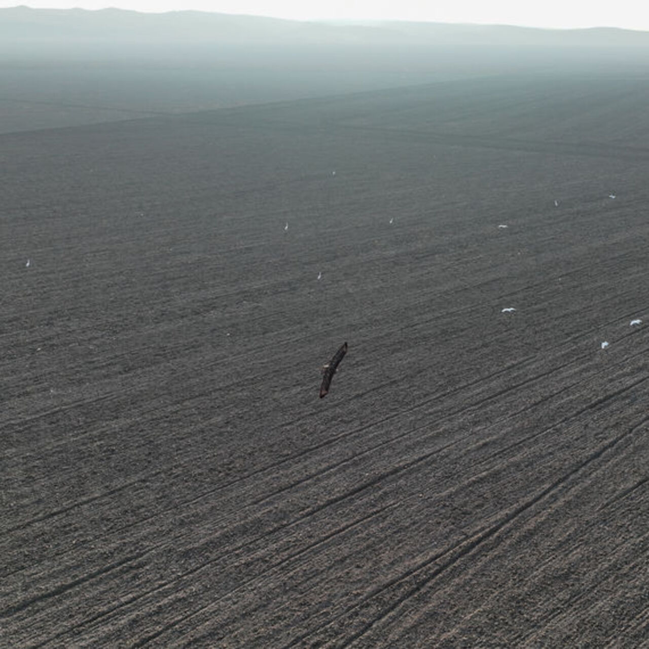 240 gölün 186’sı kurudu mu?