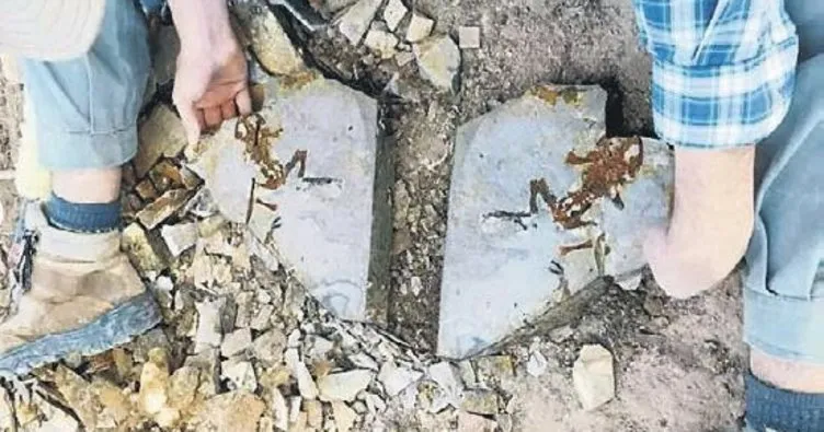 Bu kurbağa yavrusu fosili tam 161 milyon yıllık