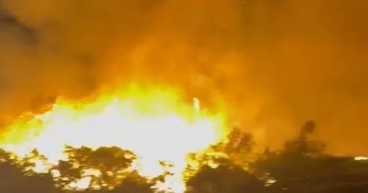 Marmaris’te orman yangını: Alevler 1 saatte kontrol altına alındı