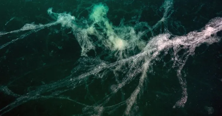 Müsilaj Marmara’ya geri döndü: Deniz ekosisteminde tehlike çanları çalıyor