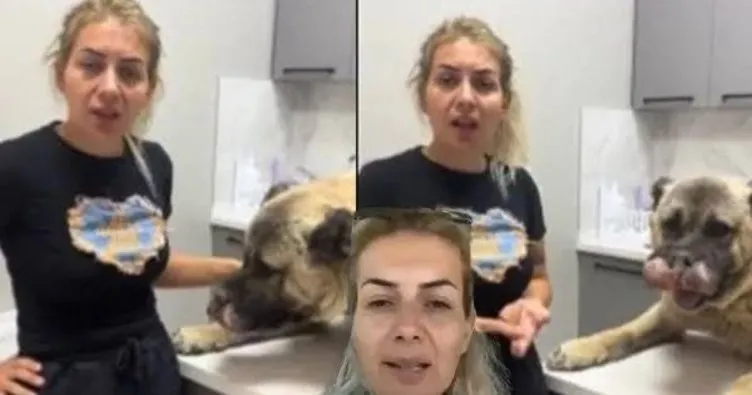 Buket Özgünlü’nün köpekleri getirdiği araç için bilirkişi raporu istendi