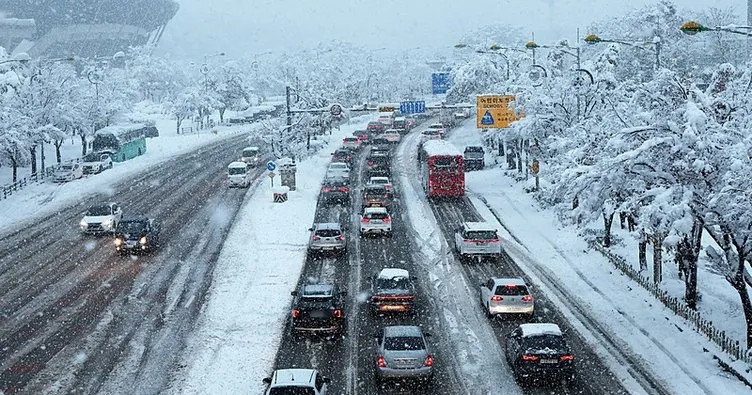 Güney Kore kar fırtınasına teslim oldu: Ölü sayısı yükseliyor