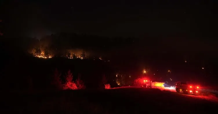 İki il sınırında çıkan yangın 10 saatte söndürüldü