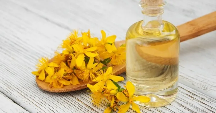 Kantaron Yağının Saça Faydaları Nelerdir? Kantaron Yağı Saça Sürülür Mü, Nasıl Uygulanır?