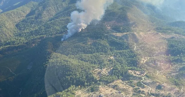 Köyceğiz’de orman yangını