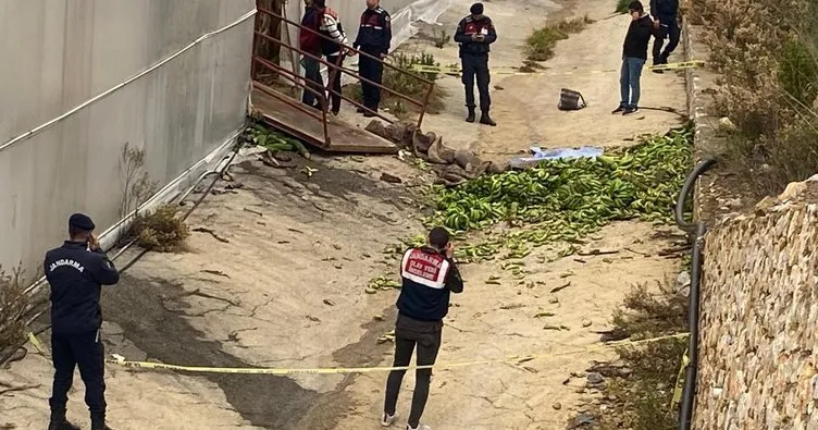 Muz serasında iş kazası: 2 kişi hayatını kaybetti