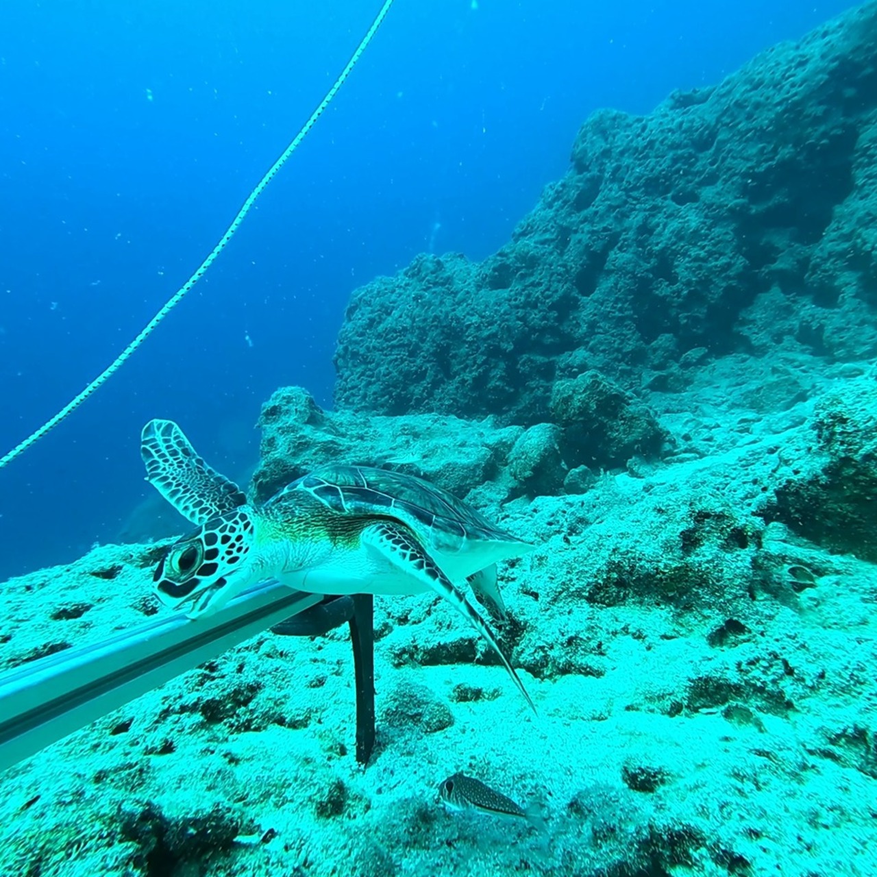 Son 10 yılda mikroplastik sayısında ciddi artış: "Karadeniz’de korkulan oldu"