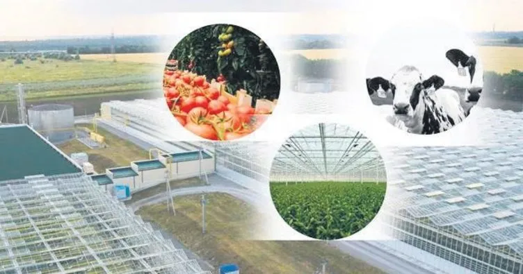 Ucuz gıda için 61 yerde tarım bölgeleri kuruluyor