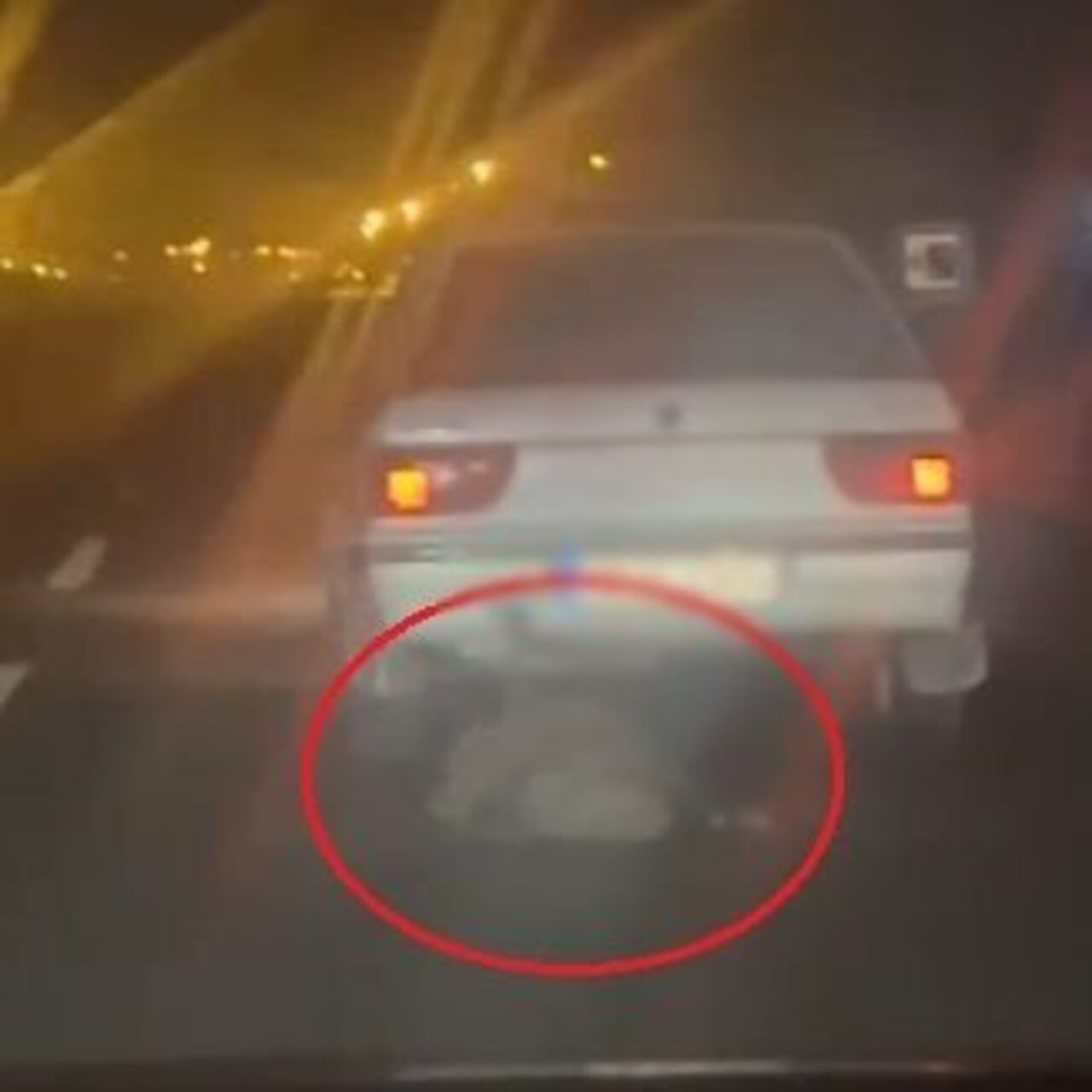 Avladığı domuzu otomobilin arkasında sürükledi