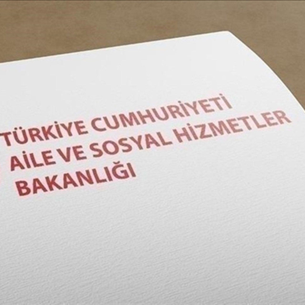 Bakım merkezindeki görüntülere açıklama