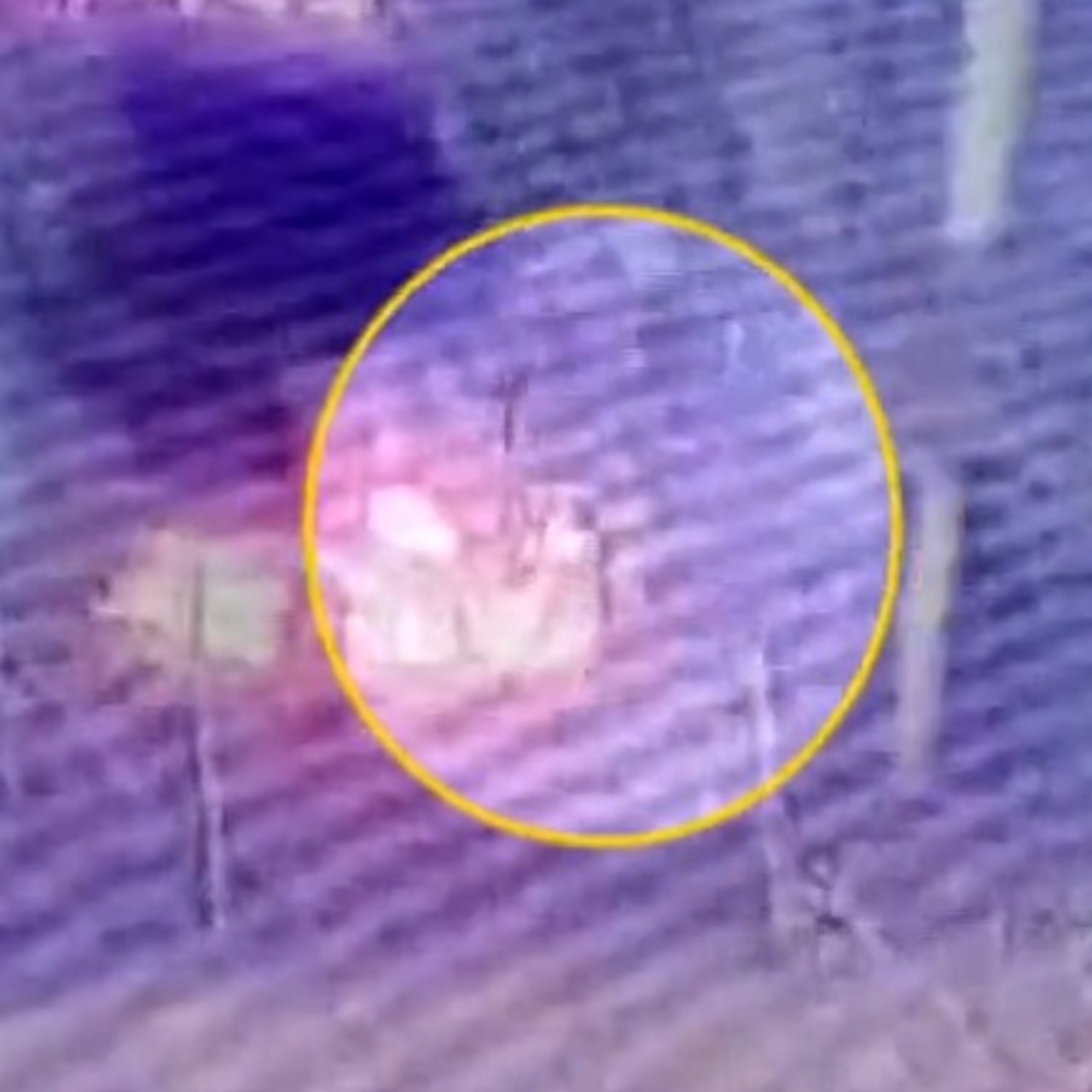 Falezlerde korkunç kaza!