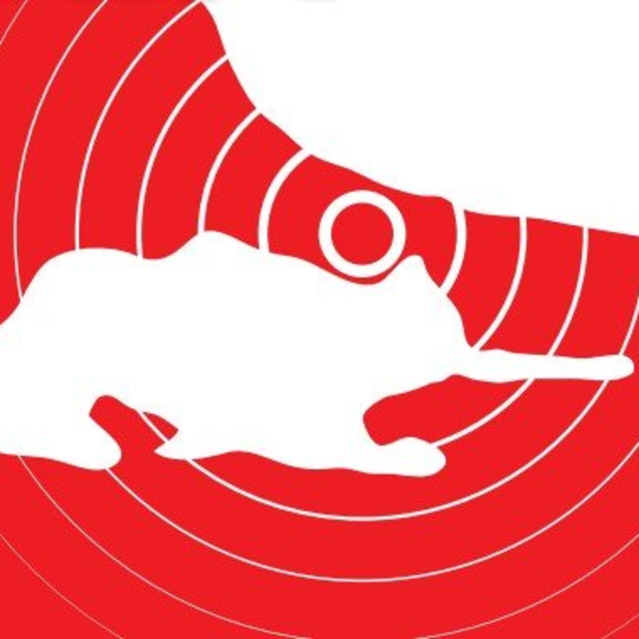 İstanbul Tabip Odası’ndan deprem kongresi