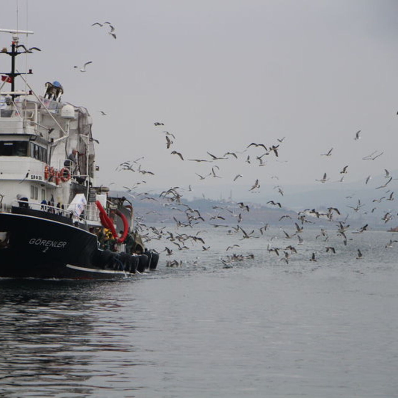 Marmara Denizi için korkutan uyarı