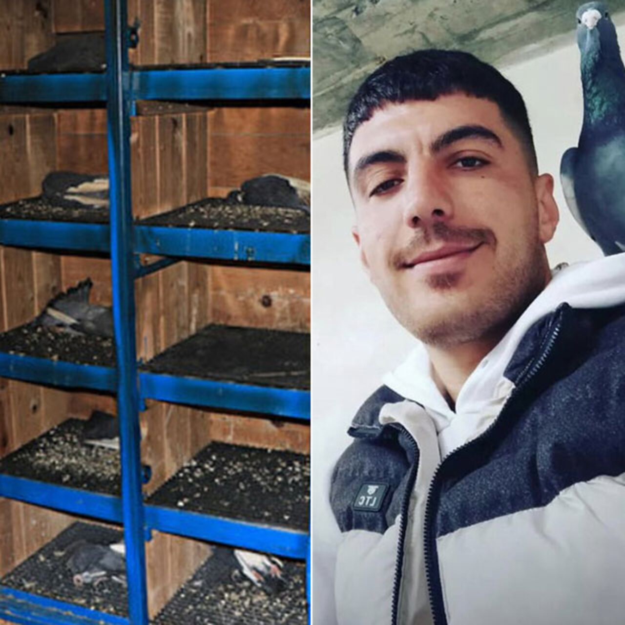 İki kuzen sosyal medyada küfürleşti… ‘Kuş dolabı’ cinneti!