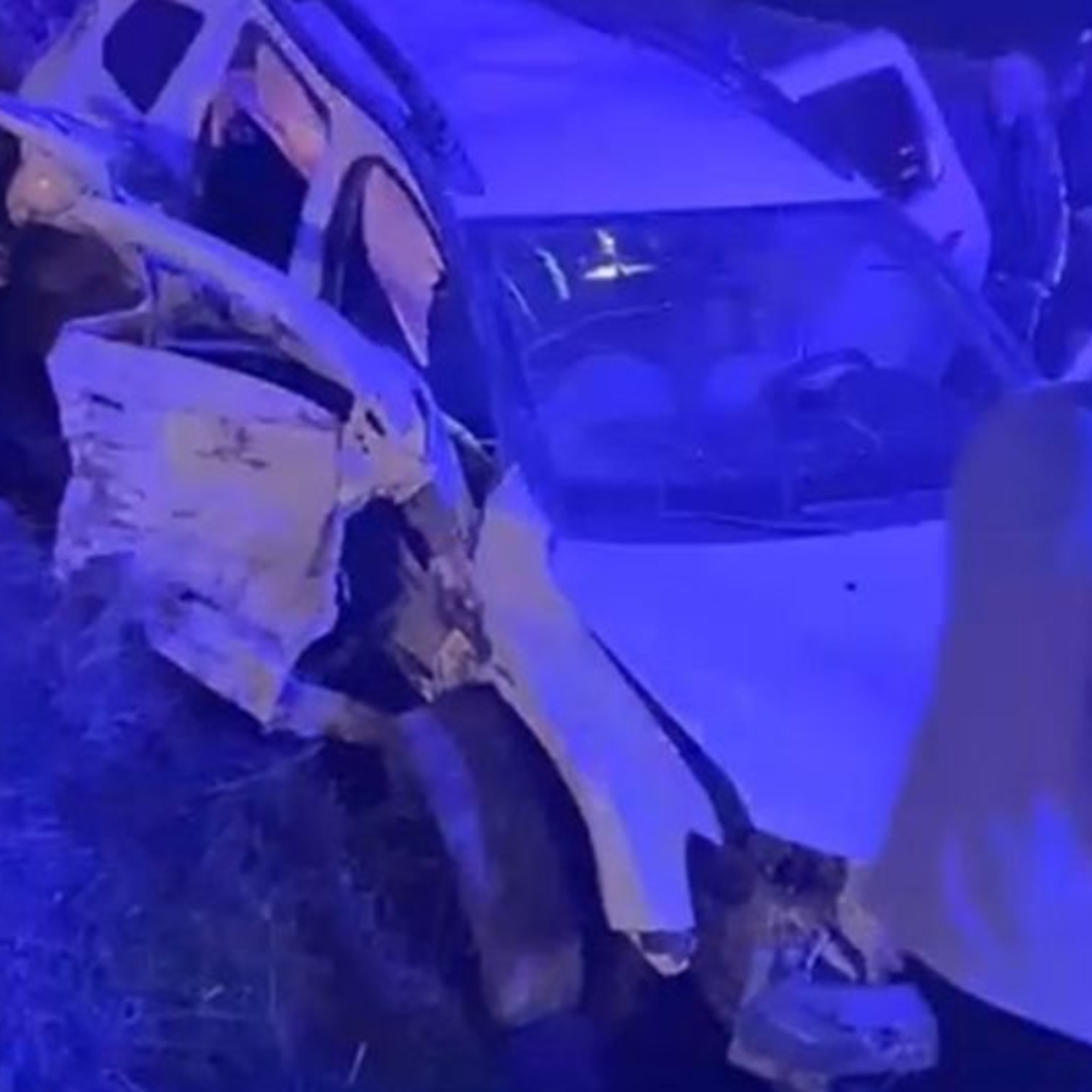 Domuza çarptı! Facia yaşandı!