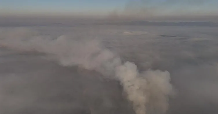 2 ilde alevlerle cansiparane mücaele: Bursa ve Karabük’te çıkan orman yangınında son durum
