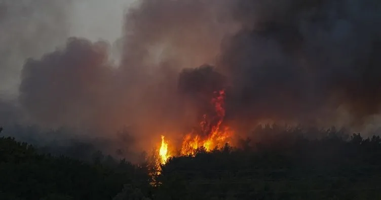 İzmir Urla’daki orman yangını kontrol altında!