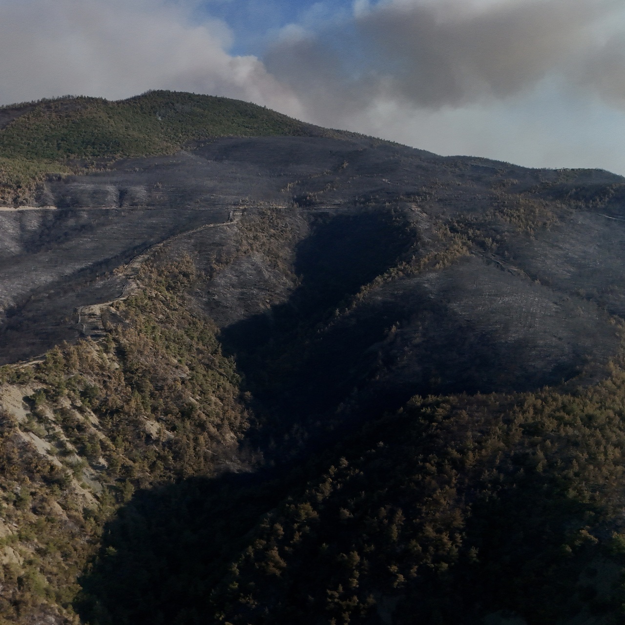 Sakarya’daki yangından geriye kalan…