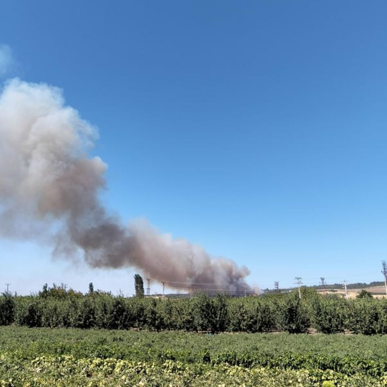 Çanakkale ve Sinop’ta orman yangını