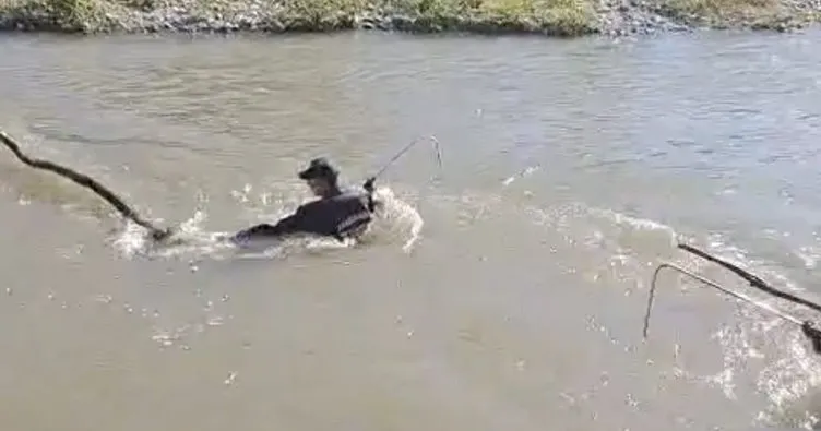 Cinayet gibi kazada kaybolan İlknur’un cesedine ulaşıldı