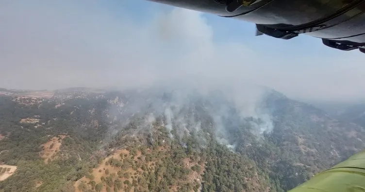 Denizli’deki yangın Aydın’a sıçradı