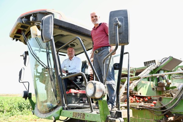 Domatesin başkenti Karacabey’de hasat sezonu sürüyor