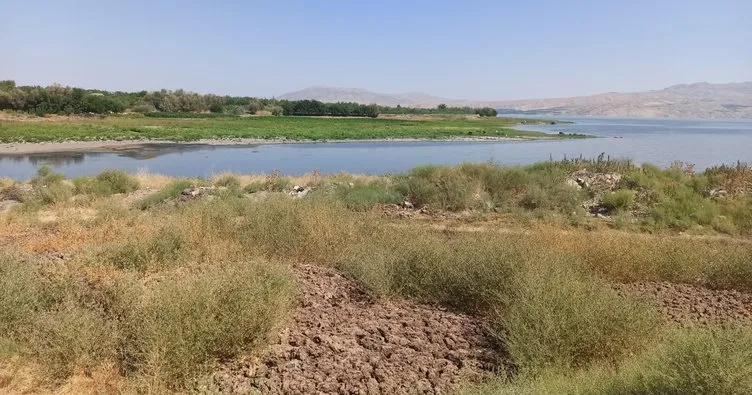 Kuraklığın ortaya çıkardığı yalnız minare! Malatya’nın su altında kalan köyü yeniden göründü