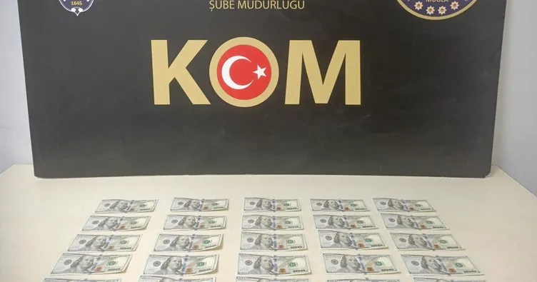 Muğla’da sahte dolar operasyonu: 25 Adet 100’lük ele geçirildi