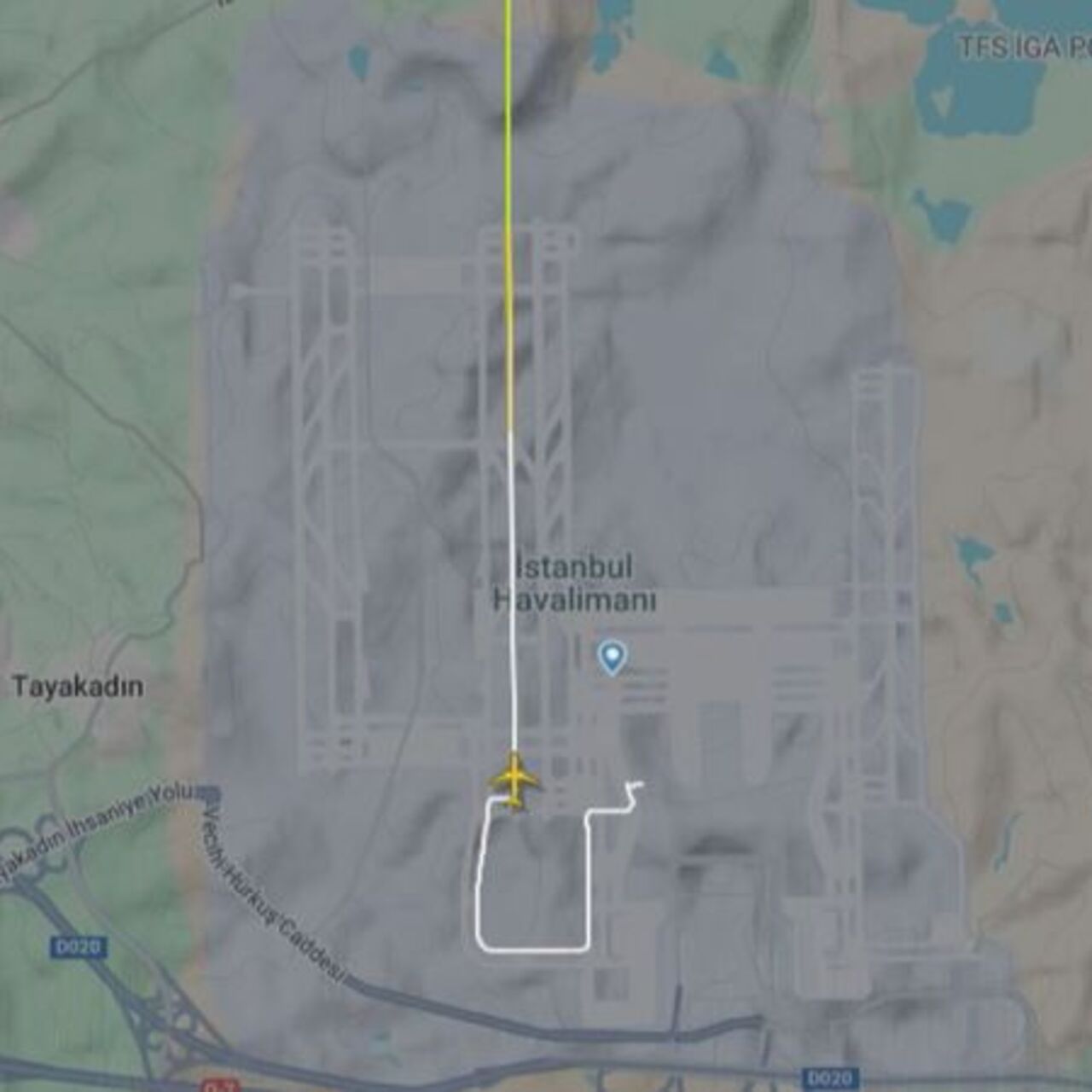 Pilotu rahatsızlanan uçak acil iniş yaptı