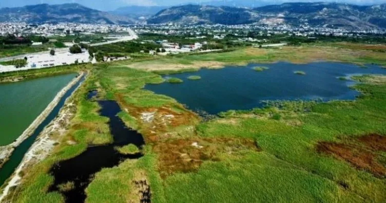 Bakan Kurum, ‘koruma’ talimatı vermişti: Milleyha ‘sit alanı’ ilan edildi