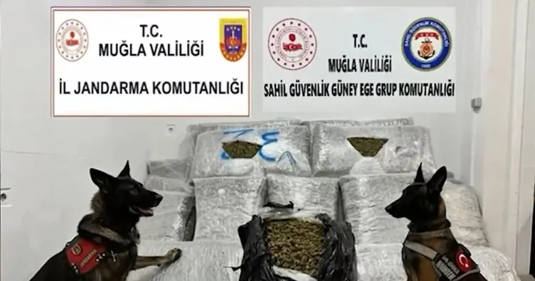 Bakan Yerlikaya açıkladı: “210 kilo uyuşturucu ele geçirildi”