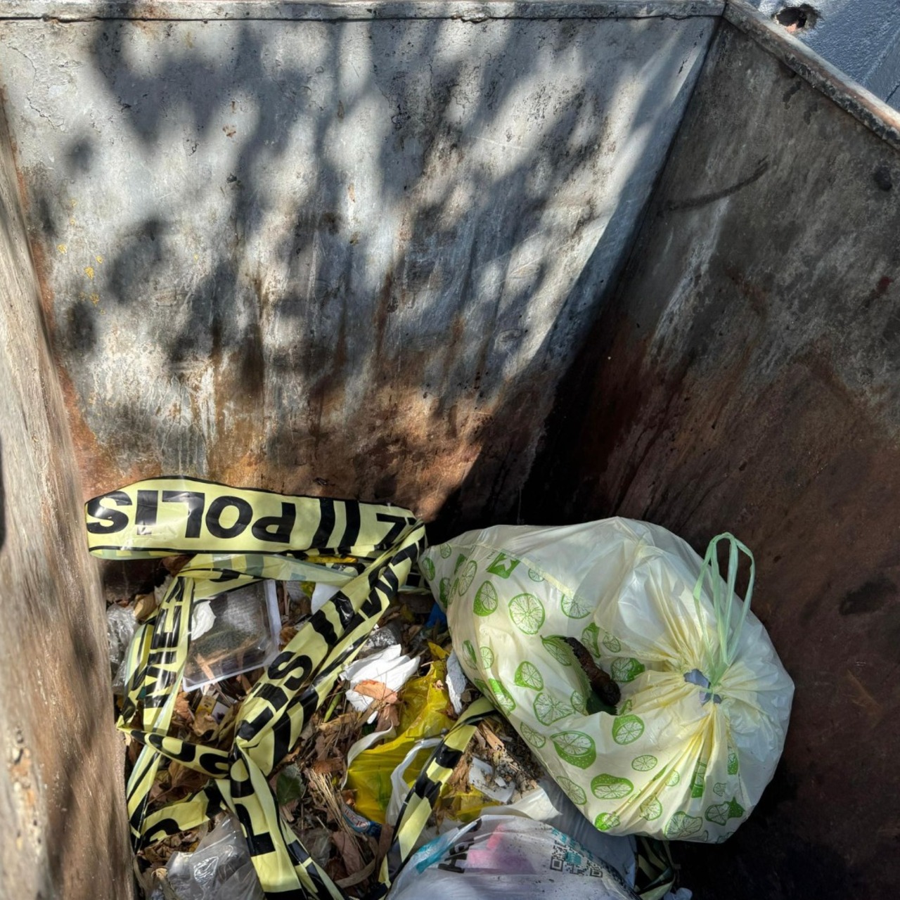 Bebeğini çöpe atıp alışverişe gitti!