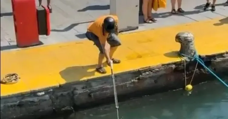 Dünyanın en hızlı deniz canlısını zıpkınla vurdular!