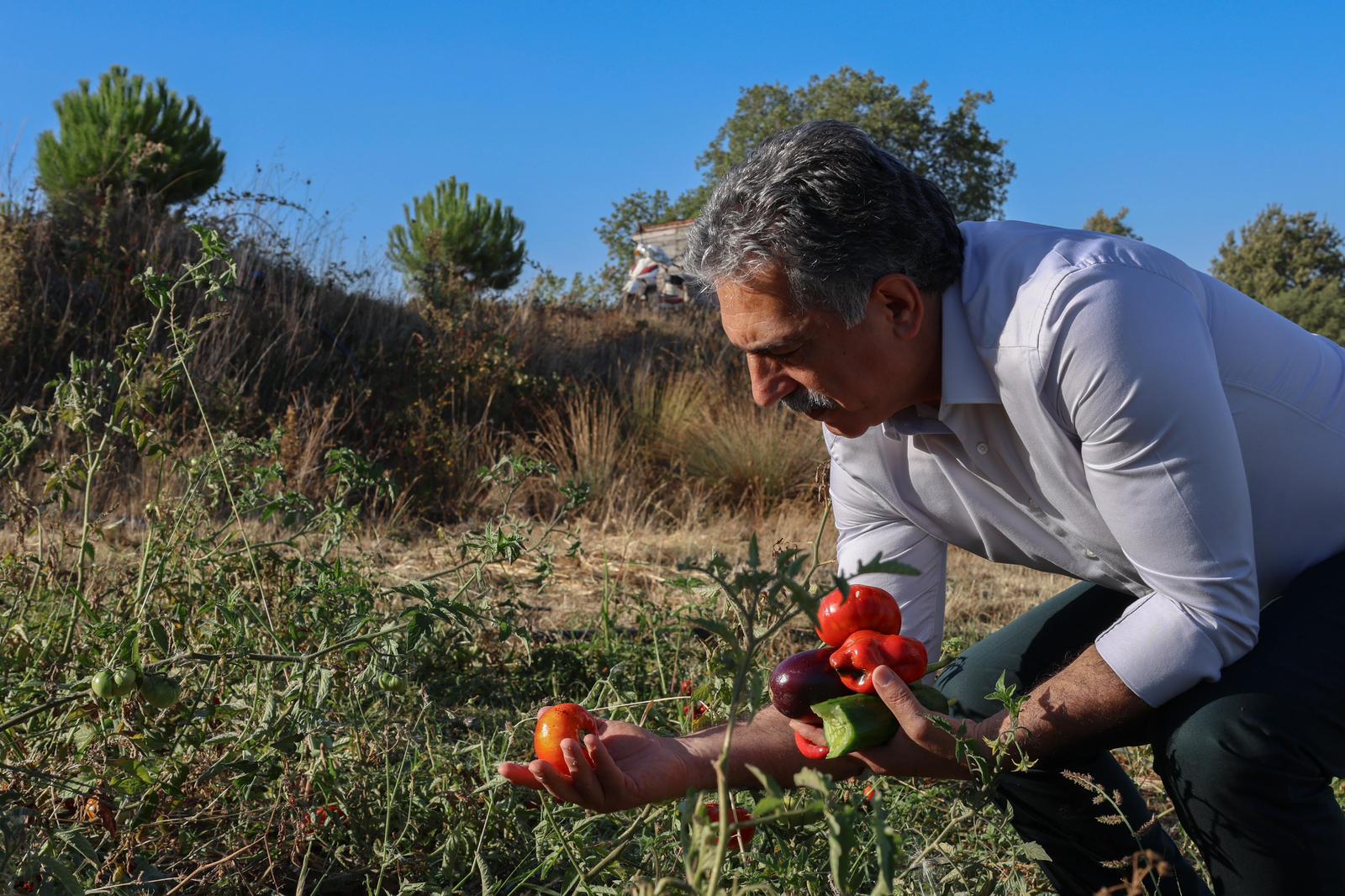 Gemlik Belediyesi Ata Tohumlarını Geleceğe Taşıyor