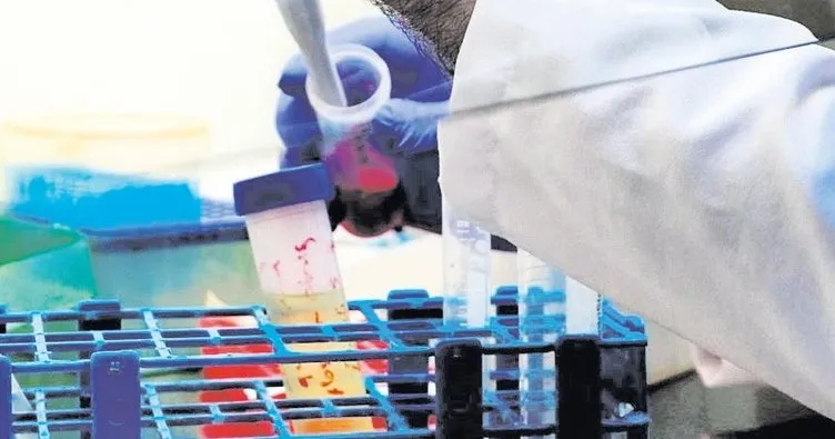 Kanser tedavisinde umut veren gelişme