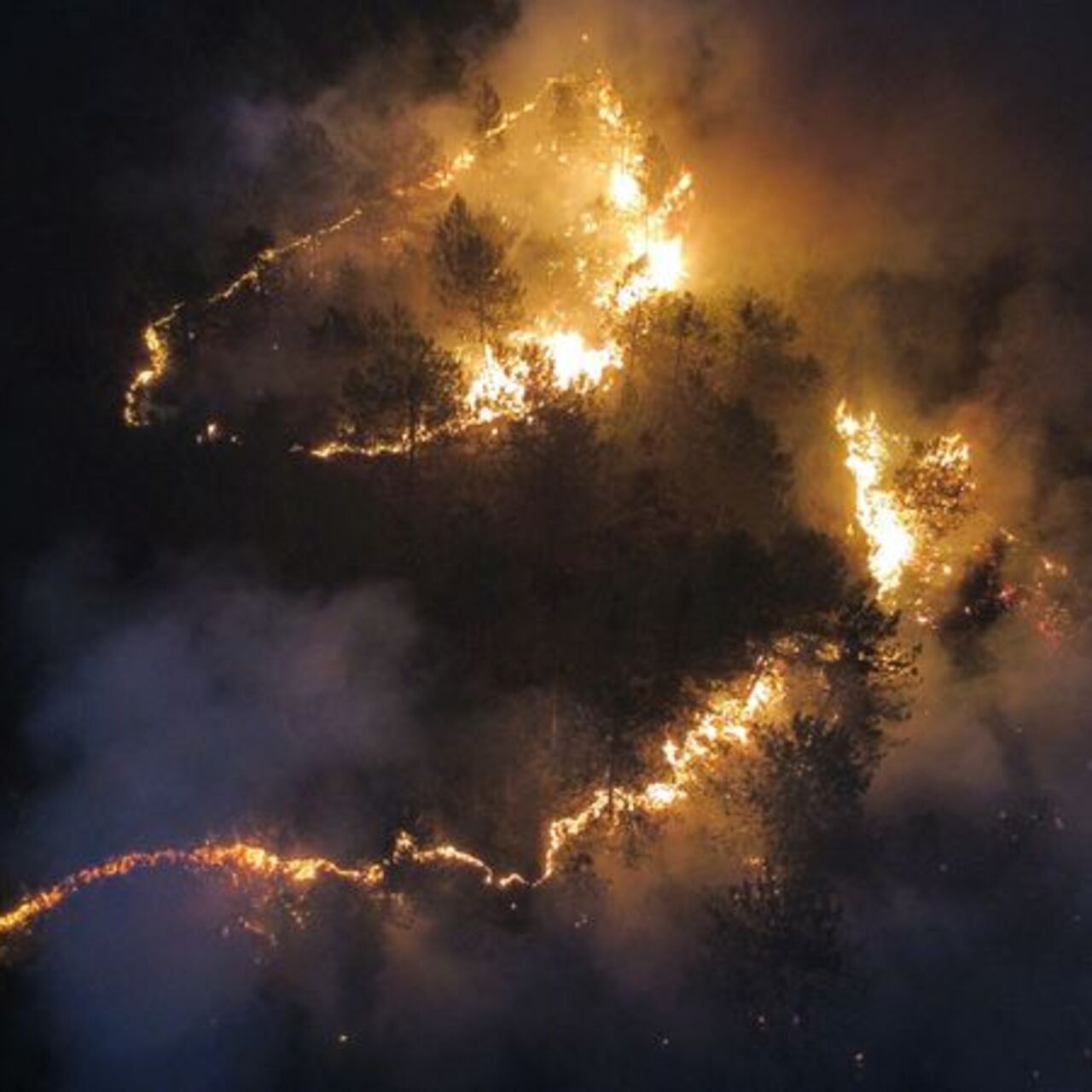 Karabük, Kastamonu ve Denizli’de yangın!
