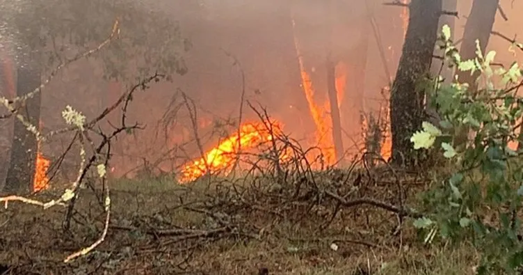 Karabük’te otluk alandaki yangın ormana sıçradı! Ekipler bölgede: Havadan ve karadan müdahale sürüyor