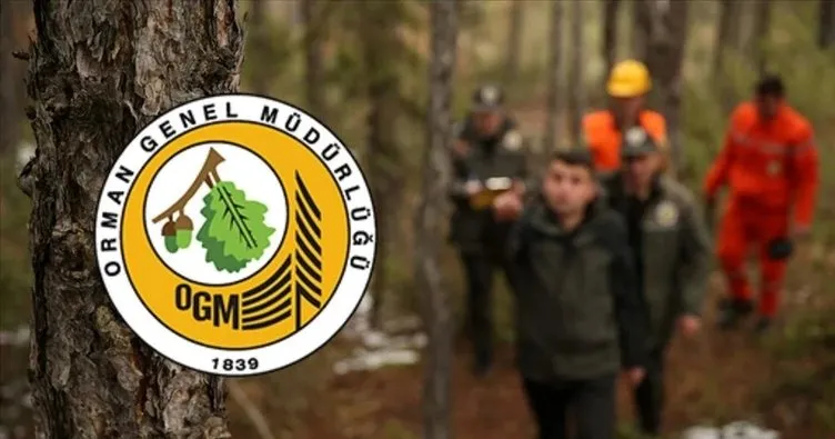 OGM PERSONEL ALIMI İLANI 2025: Orman Genel Müdürlüğü (OGM) işçi alımı başvuruları başladı mı, hangi tarihlerde, şartları neler?