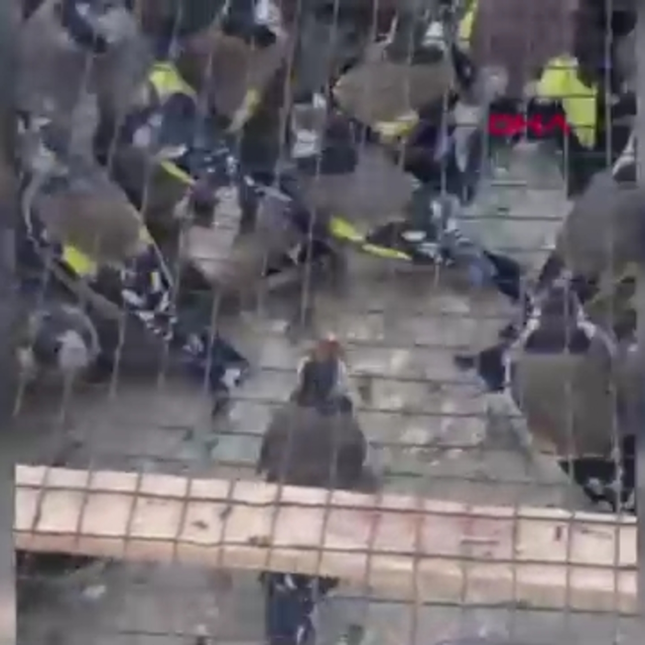 80 saka kuşu ele geçirildi: 655 bin TL ceza