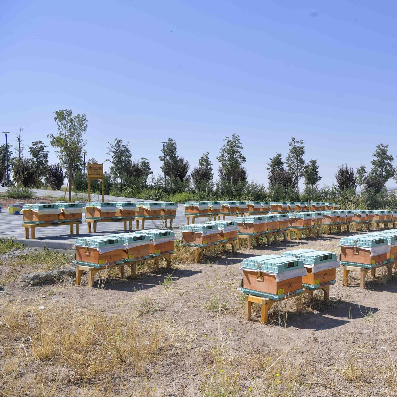 ABB aracılık projesini hayata geçirdi